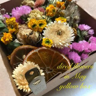 季節のお花定期便 5月 ドライフラワー yellow box(ドライフラワー)