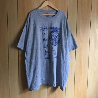 USA古着 BIGTシャツ（2XL）(Tシャツ/カットソー(半袖/袖なし))