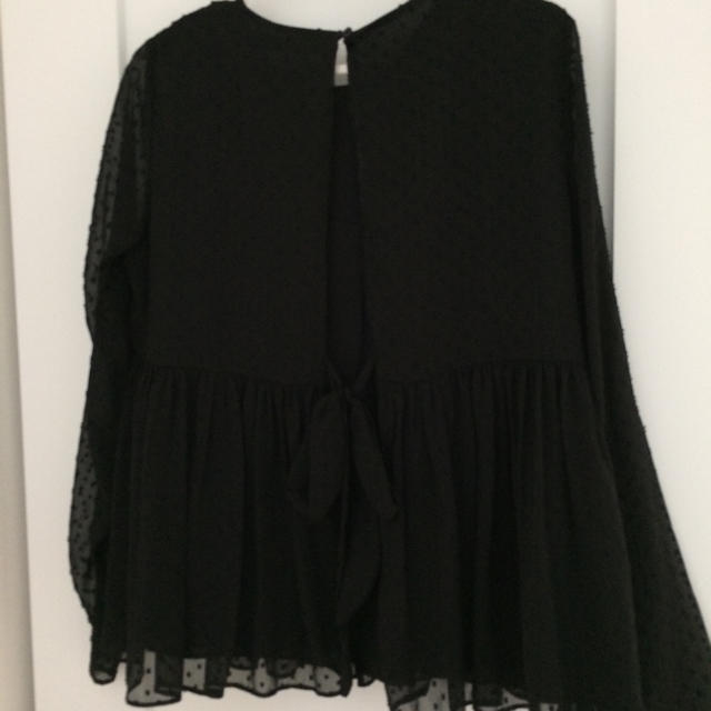 ZARA(ザラ)のZARA 刺繍ブラウス レディースのトップス(シャツ/ブラウス(長袖/七分))の商品写真