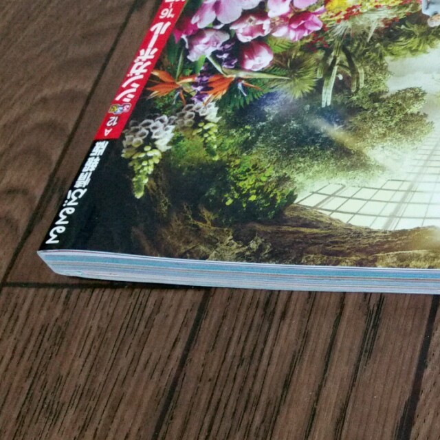 るるぶシンガポール2016.2017ガイドブック エンタメ/ホビーの本(地図/旅行ガイド)の商品写真