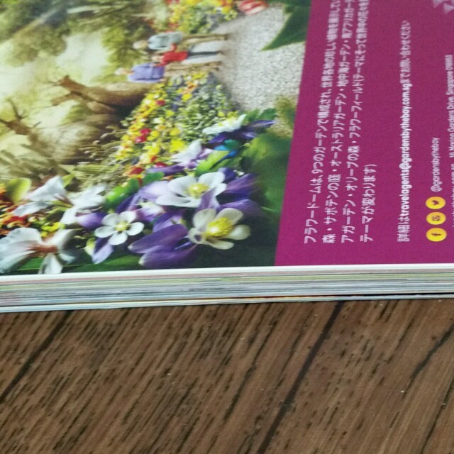 るるぶシンガポール2016.2017ガイドブック エンタメ/ホビーの本(地図/旅行ガイド)の商品写真