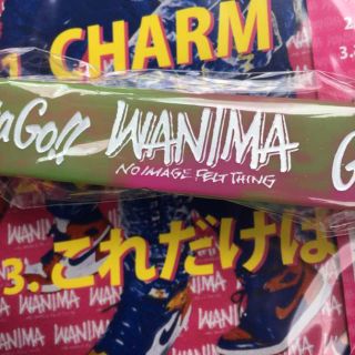 ワニマ(WANIMA)のWANIMA Gotta Go!! 特典ラバーバンド単体 新品(ミュージシャン)