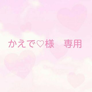 かえで♡様　専用(その他)