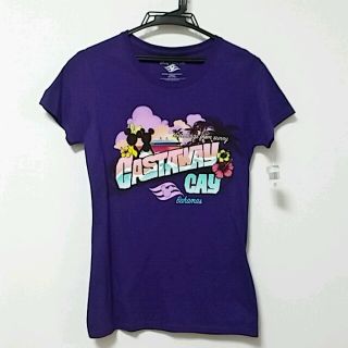 ディズニー(Disney)のレア♥ディズニークルーズ限定Tシャツ /ティーシャツ/ミッキー/ミニー/WDW (キャラクターグッズ)