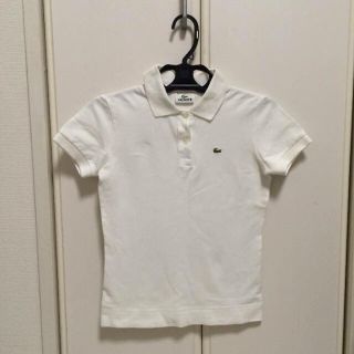 ラコステ(LACOSTE)のラコステ 白ポロシャツ(ポロシャツ)