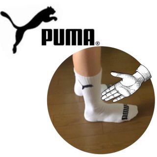 プーマ(PUMA)の靴下(ソックス)