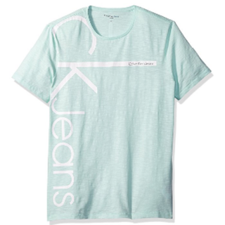 カルバンクライン(Calvin Klein)のセール★カルバンクライン シンプルロゴTシャツ(M/ライトグリーン)(Tシャツ/カットソー(半袖/袖なし))