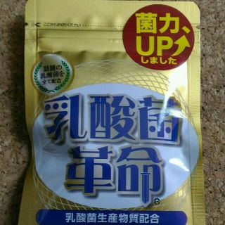 乳酸菌革命 62粒 新品未開封(その他)