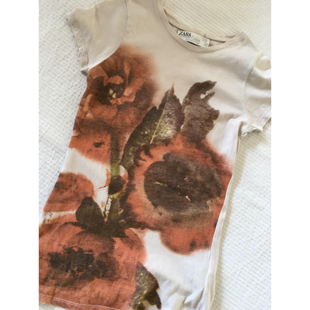 ZARA(ザラ)のYU様専用☆美品☆ZARA☆Tシャツとヘレンカミンスキー  ハット レディースのトップス(Tシャツ(半袖/袖なし))の商品写真