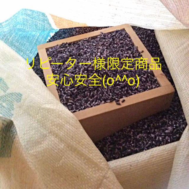 aloha様商品 黒米 500g(安心安全) 食品/飲料/酒の食品(米/穀物)の商品写真