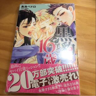 鳥海ペドロ 黒豹と16歳 5巻(少女漫画)