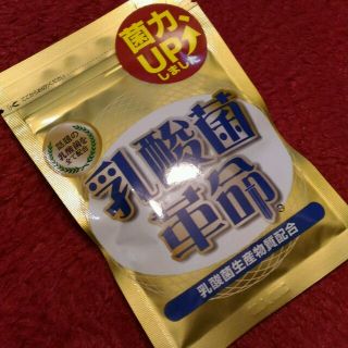 ★乳酸菌革命62粒　新品(その他)