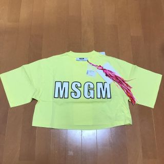 エムエスジイエム(MSGM)のMSGM ロゴTシャツ 新品(Tシャツ(半袖/袖なし))