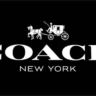 コーチ(COACH)の専用プレゼント用51339(財布)