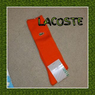 ラコステ(LACOSTE)のLACOSTE  キッズソックス(その他)