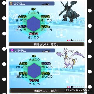 100 ポケモン ゼクロム 色違い 検索画像の壁紙