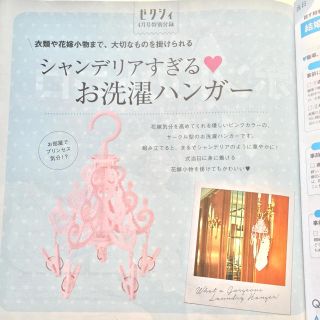 ゼクシィ4月号 シャンデリアハンガー(押し入れ収納/ハンガー)