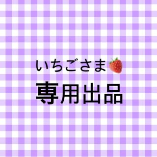 いちごさま🍓専用出品(その他)