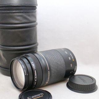 しょう様専用Canon EF 75-300mm Ⅱ型 望遠レンズ(レンズ(ズーム))