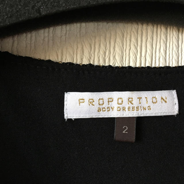 PROPORTION BODY DRESSING(プロポーションボディドレッシング)のプロポーションボディドレッシング シフォンブラウス レディースのトップス(シャツ/ブラウス(半袖/袖なし))の商品写真