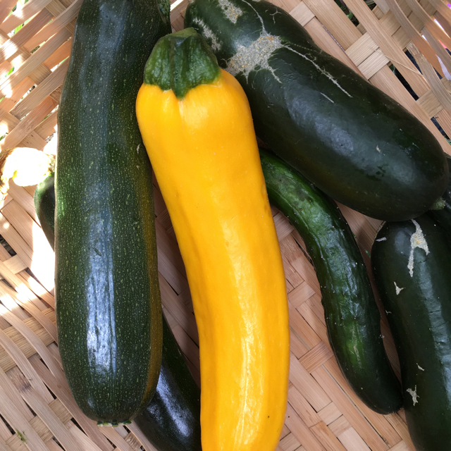 京都無農薬お野菜 食品/飲料/酒の食品(野菜)の商品写真