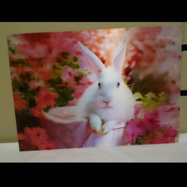 3dアート 絵画 イラスト ウサギ ピンクの通販 By メル移転かリ ラクマ 3dアート 絵画 イラスト ウサギ ピンクの通販 By メル移転かリ ラクマ