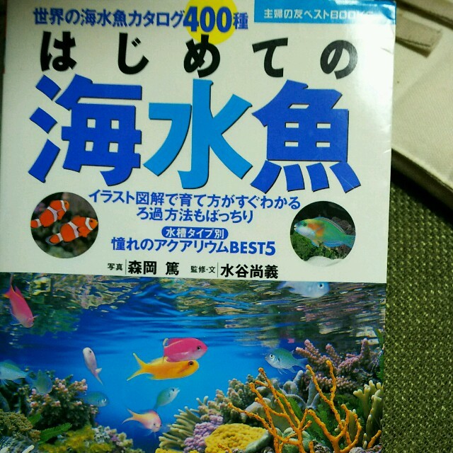 はじめましての海水魚 飼育本の通販 By レトロ93 S Shop ラクマ