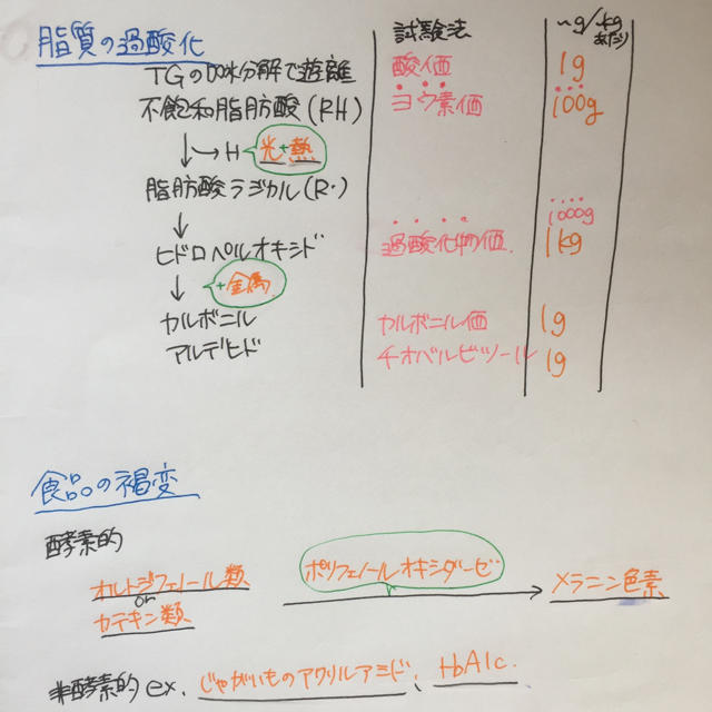 第102回薬剤師国家試験自作まとめノート(コピー) エンタメ/ホビーの本(健康/医学)の商品写真