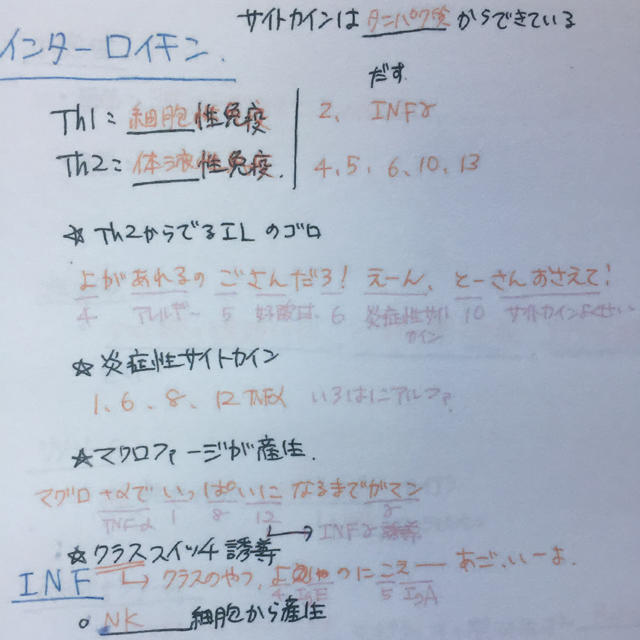 第102回薬剤師国家試験自作まとめノート(コピー) エンタメ/ホビーの本(健康/医学)の商品写真