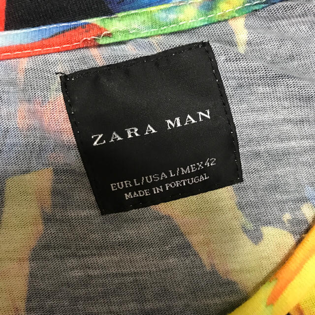 ZARA(ザラ)のZARA MAN メンズ ボタニカルＴシャツ Lサイズ カリフォルニアスタイル メンズのトップス(Tシャツ/カットソー(半袖/袖なし))の商品写真