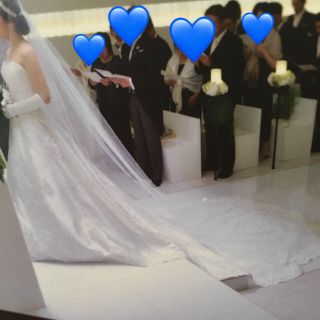 TAKAMI BRIDAL ベール3m(ヘッドドレス/ドレス)