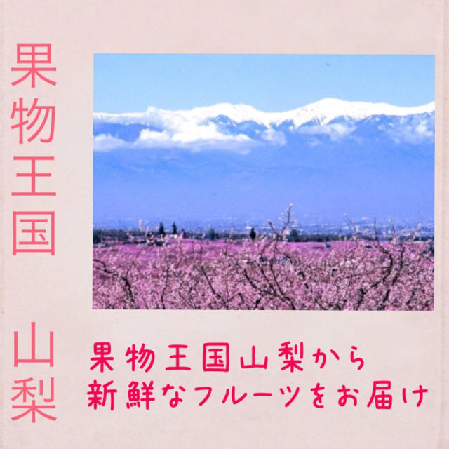 桃 共選除外品 訳あり品 お得 特価 山梨県産☆ 食品/飲料/酒の食品(フルーツ)の商品写真