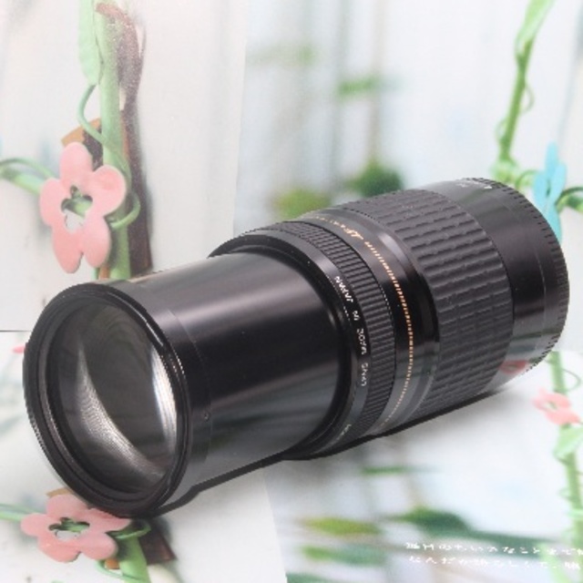 Canon - ✨ やっぱりこれ！！超望遠レンズ✨Canon EF 75-300mm✨