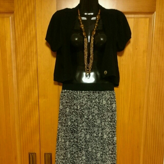 FELISSIMO(フェリシモ)のシフォンスカート×レギンス レディースのスカート(ひざ丈スカート)の商品写真