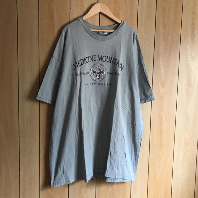 Hanes(ヘインズ)のUSA古着 BIGTシャツ（2XL） メンズのトップス(Tシャツ/カットソー(半袖/袖なし))の商品写真
