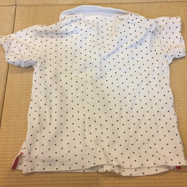 TAKEO KIKUCHI(タケオキクチ)のキッズ タケオキクチ 白色ポロシャツ 130 キッズ/ベビー/マタニティのキッズ服男の子用(90cm~)(Tシャツ/カットソー)の商品写真