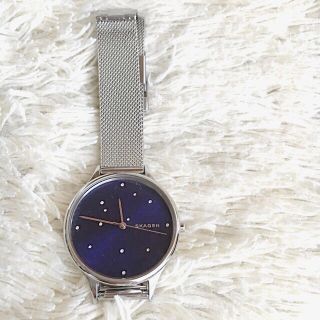 スカーゲン(SKAGEN)のタイムセール！腕時計 レディース スカーゲン ANITA SKW2391 (腕時計)