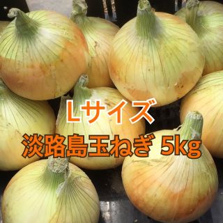 ②【次回購入割引付】5kg 最高品質 淡路島産 玉ねぎ 送料無料(野菜)