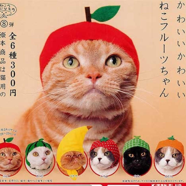 猫 かぶりもの ガチャ ねこ フルーツ バナナの通販 By びぃぁん24shop ラクマ