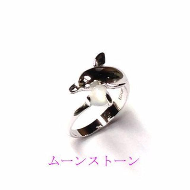 指輪 SILVER925 DOLPHIN イルカ ストーンリング sg◆SR-3 レディースのアクセサリー(リング(指輪))の商品写真