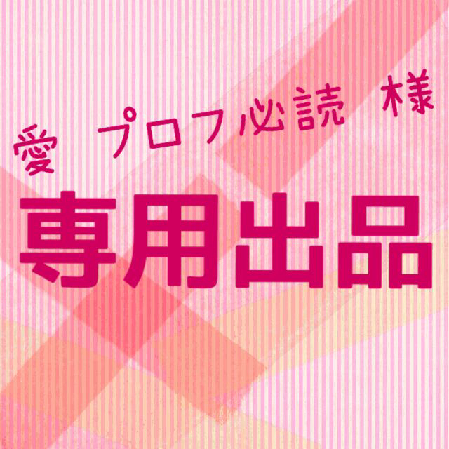 BANDAI(バンダイ)の愛♡プロフ必読 様  専用出品 エンタメ/ホビーのエンタメ その他(その他)の商品写真