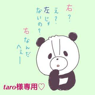 【taro様専用♡】めっちゃたっぷりフルーツ青汁☆送料込み(青汁/ケール加工食品)