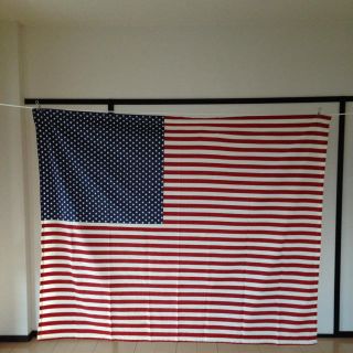 USA♡大判の布(その他)