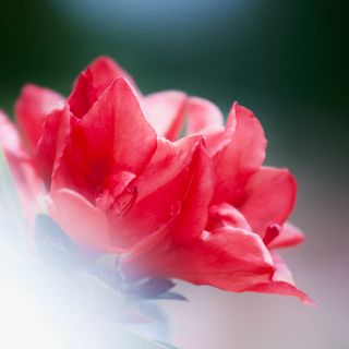 ワスク(WASK)のおかん様専用＊25日まで(パンツ/スパッツ)