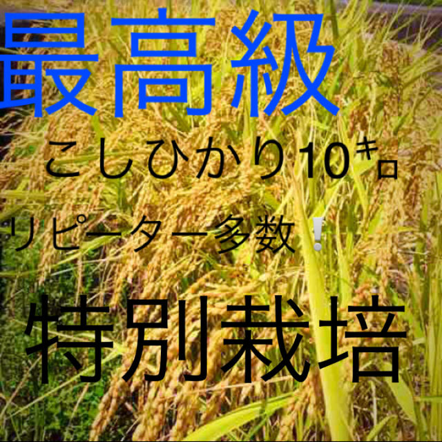 k.t様専用  こだわり栽培 農家のお米こしひかり10㌔玄米 食品/飲料/酒の食品(米/穀物)の商品写真