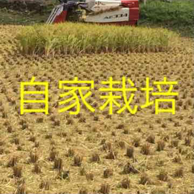 こだわり栽培 農家のお米こしひかり5㌔玄米 食品/飲料/酒の食品(米/穀物)の商品写真