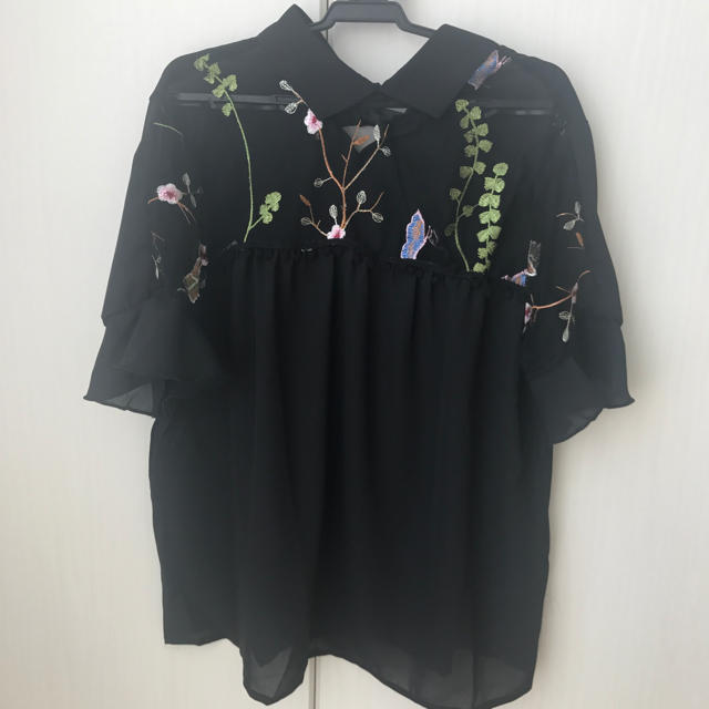 刺繍シフォンシャツ レディースのトップス(シャツ/ブラウス(半袖/袖なし))の商品写真