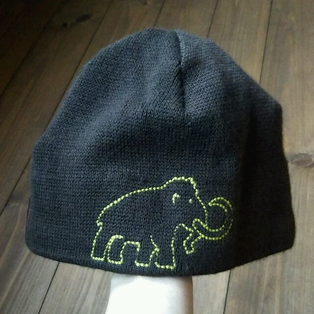 Mammut(マムート)のニット帽 メンズの帽子(ニット帽/ビーニー)の商品写真