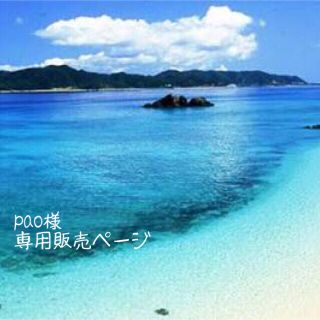 pao様専用(その他)