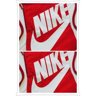 ナイキ(NIKE)のtsu様 専用☆【激レア】NIKEナイキ ヘリテージ ヒョウ柄レッド(リュック/バックパック)